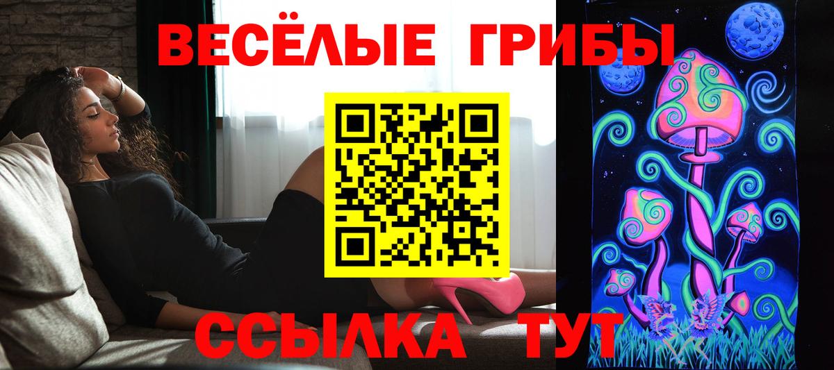 Ленинск-Кузнецкий  Псилоцибиновые грибы Psilocybe  Галлюциногенные грибы Psilocybe  Вход с VPN 